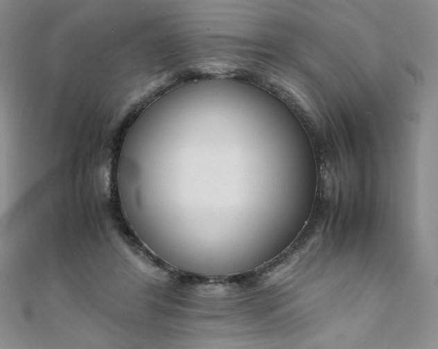 X0000108480404200904171615
