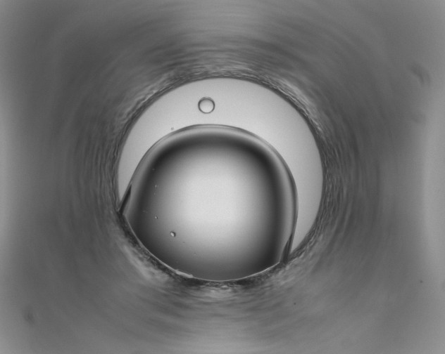 X0000108480405200904171615