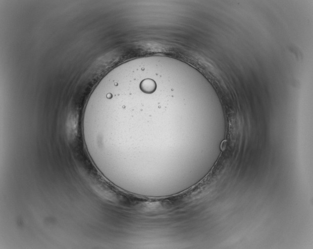X0000108480406200904171615