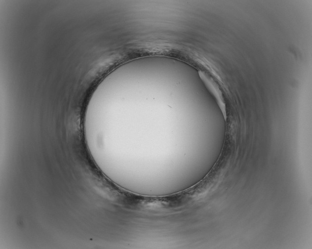 X0000108480407200904171615