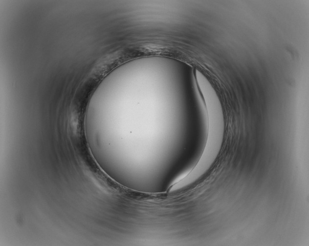 X0000108480408200904171615