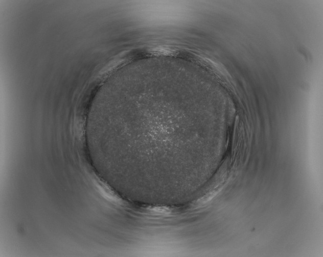 X0000108480409200904171615