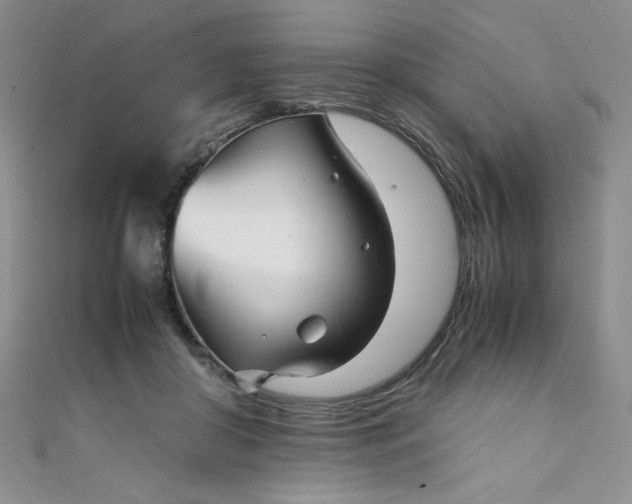 X0000108480410200904171615