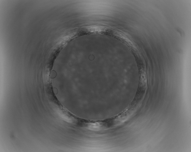 X0000108480411200904171615