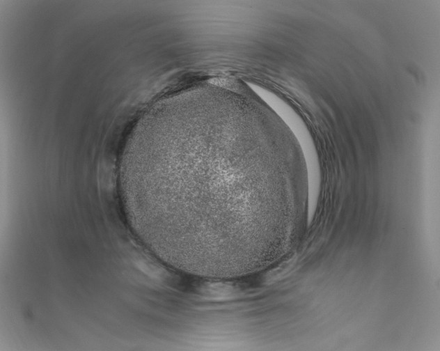 X0000108480413200904171615