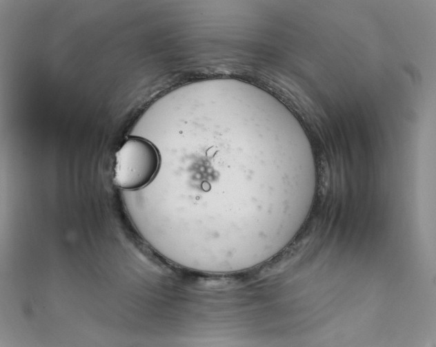 X0000108480414200904171615