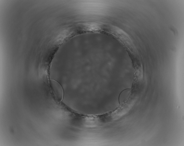 X0000108480415200904171615