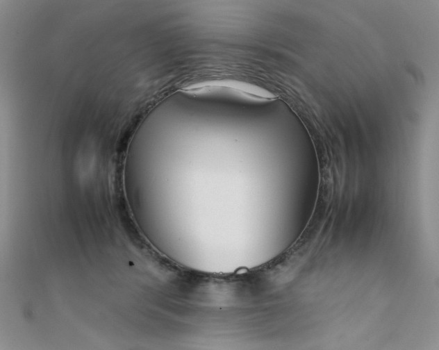 X0000108480416200904171615
