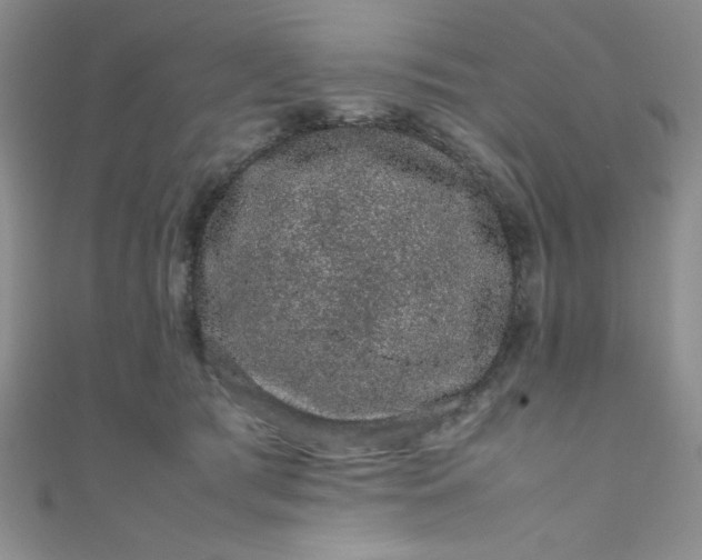 X0000108480417200904171615