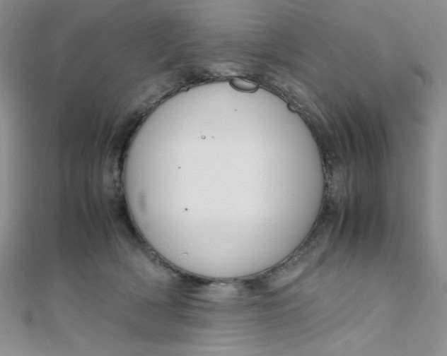 X0000108480418200904171615
