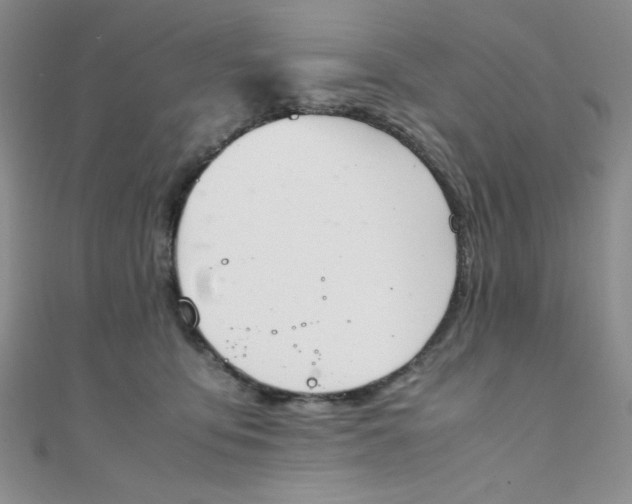 X0000108480419200904171615