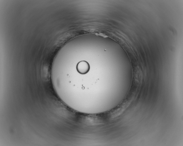 X0000108480420200904171615