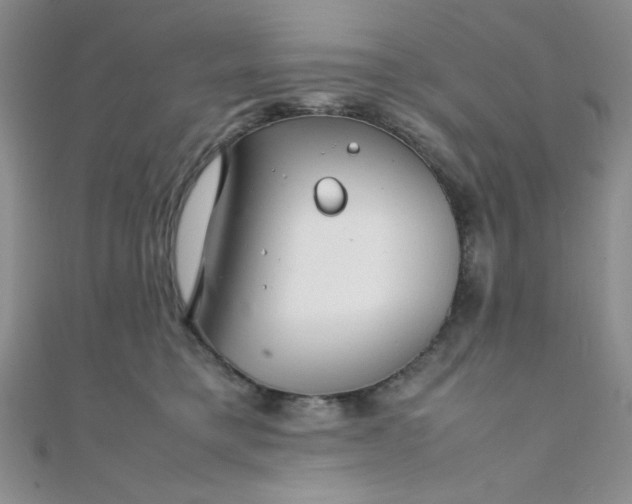 X0000108480421200904171615