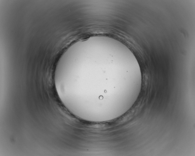 X0000108480422200904171615