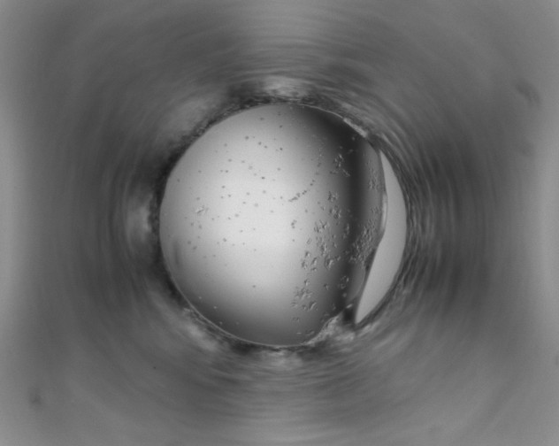 X0000108480424200904171615