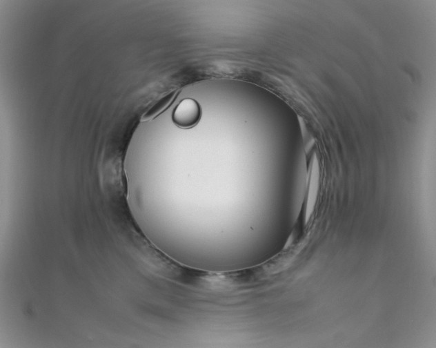 X0000108480425200904171615