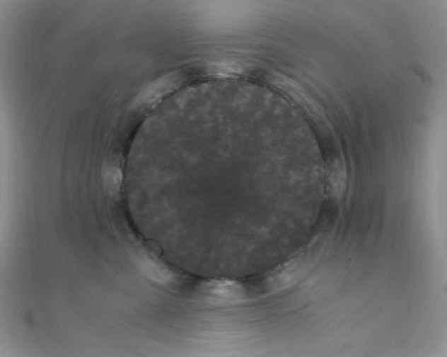 X0000108480427200904171615