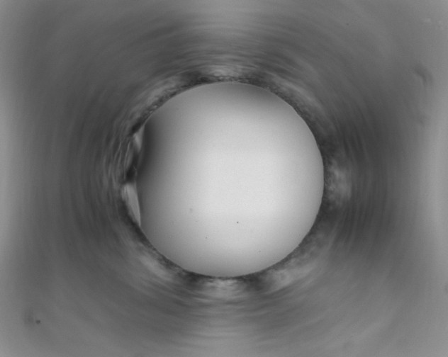 X0000108480428200904171615
