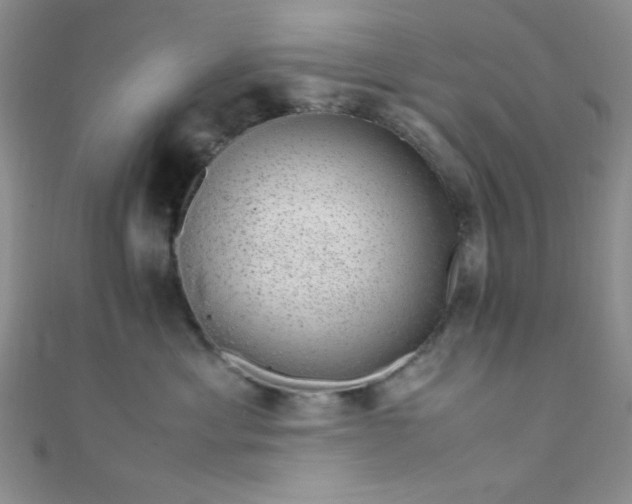 X0000108480429200904171615