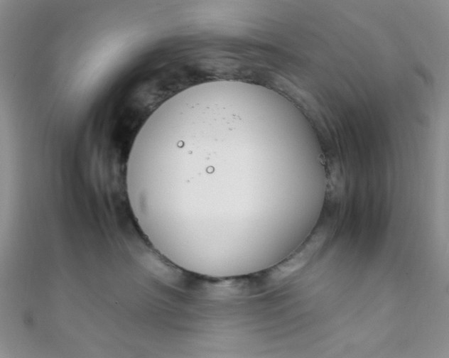 X0000108480430200904171615