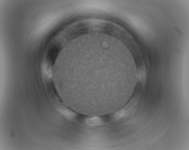 X0000108480431200904171615