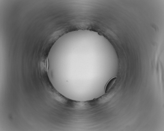 X0000108480432200904171615