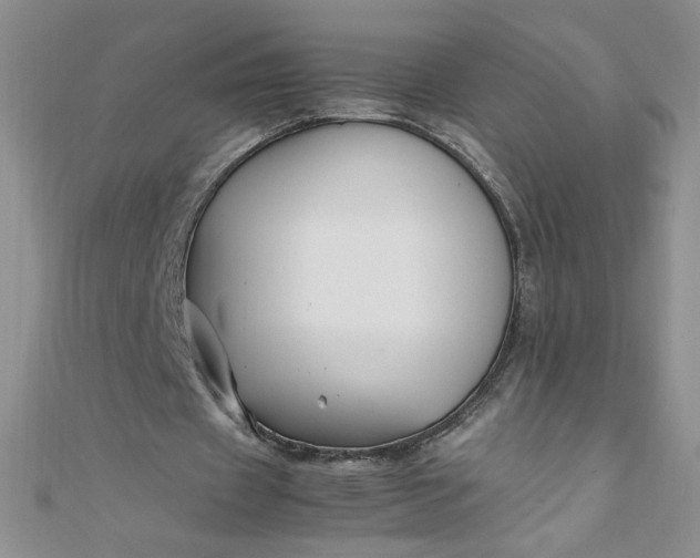 X0000108480433200904171614