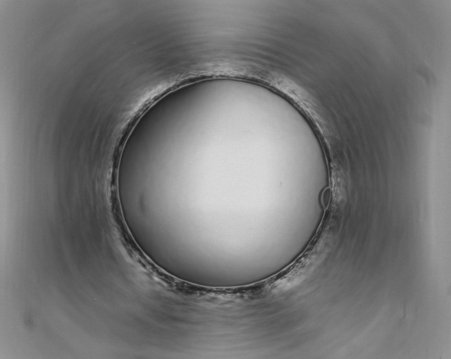 X0000108480434200904171614