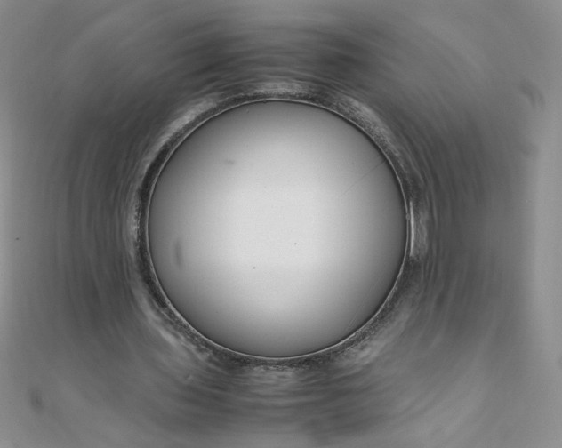 X0000108480435200904171614