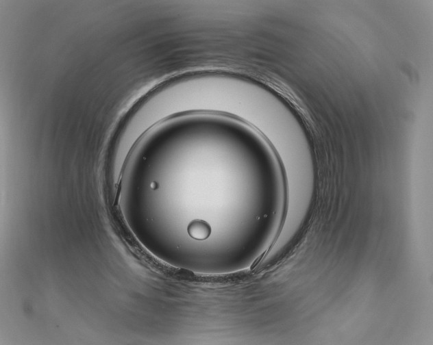 X0000108480436200904171614