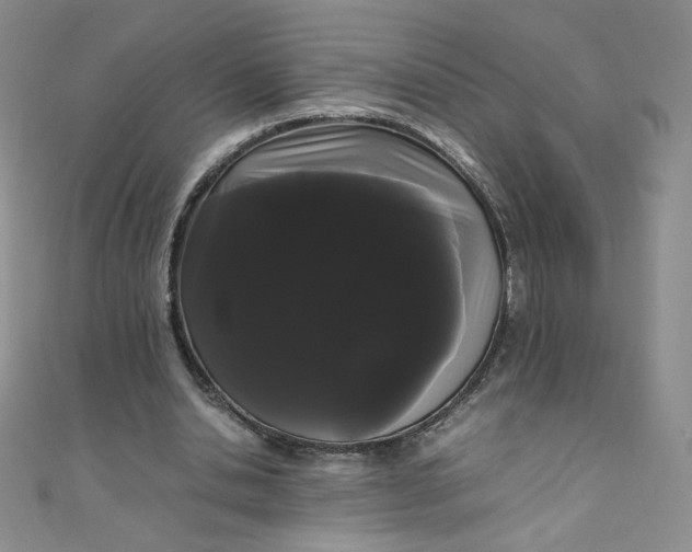 X0000108480438200904171614