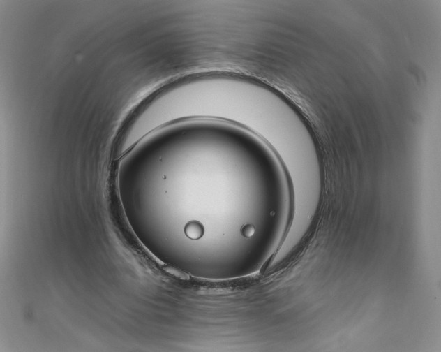 X0000108480440200904171614