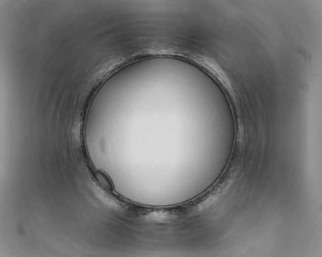 X0000108480441200904171614