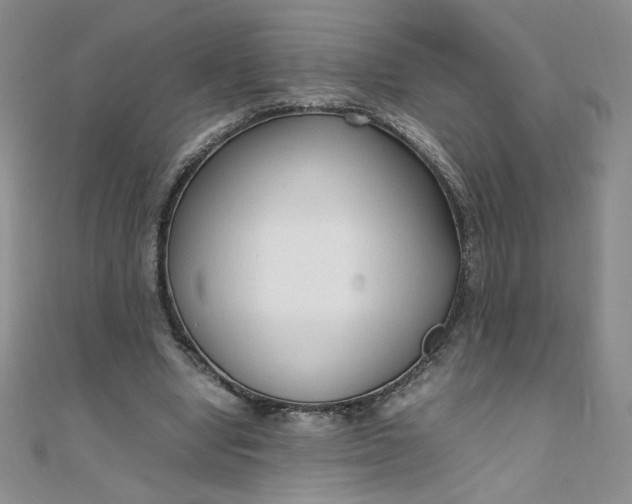 X0000108480442200904171614