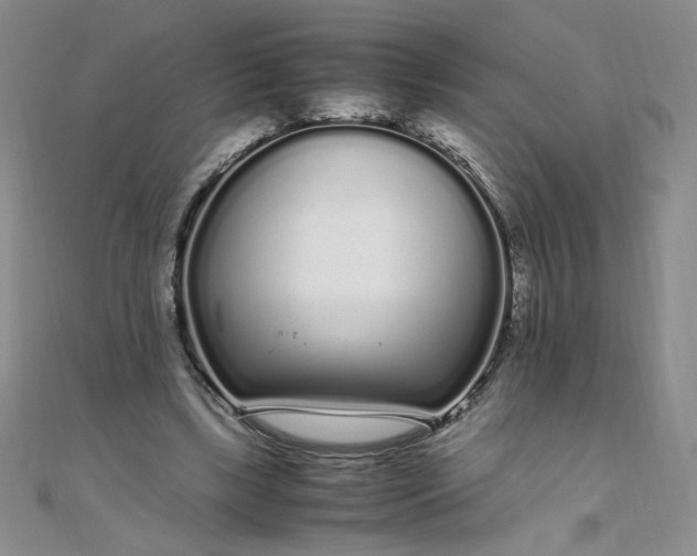 X0000108480443200904171614