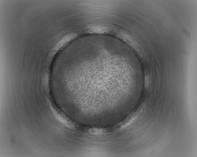 X0000108480444200904171614