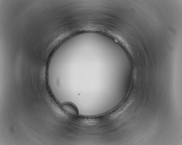 X0000108480445200904171614