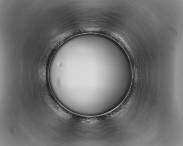 X0000108480447200904171614