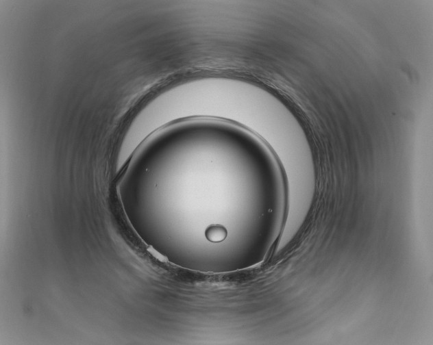 X0000108480448200904171614