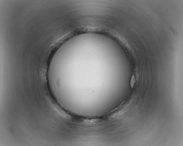 X0000108480450200904171614