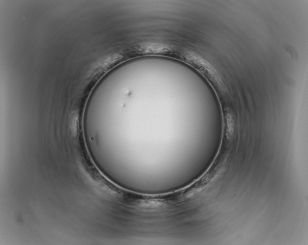 X0000108480451200904171614