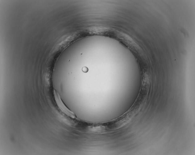 X0000108480452200904171614