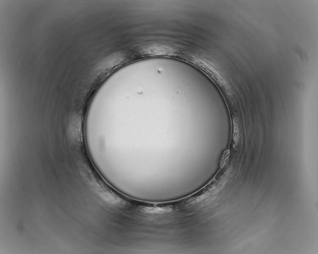 X0000108480453200904171614