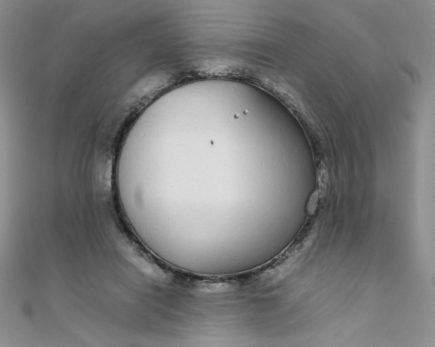 X0000108480454200904171614