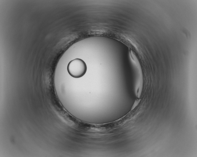 X0000108480455200904171614