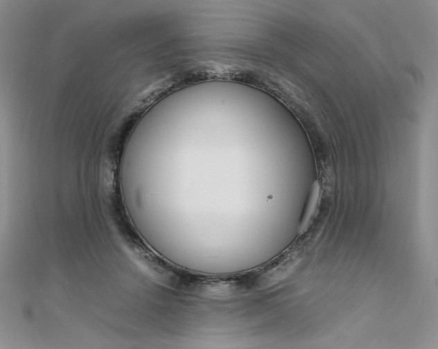 X0000108480456200904171614