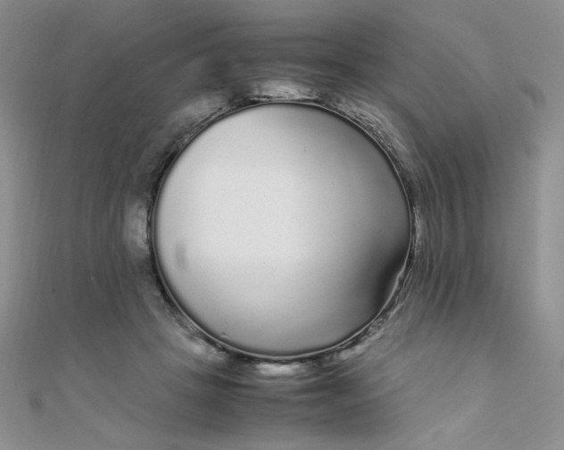 X0000108480457200904171614