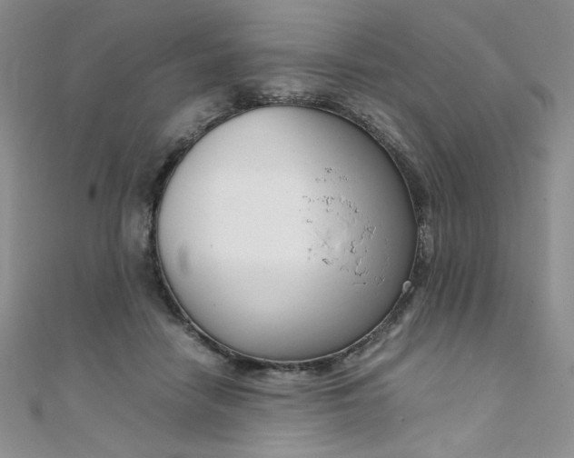 X0000108480458200904171614