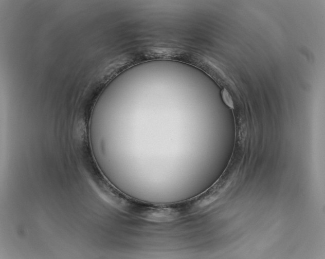 X0000108480459200904171614