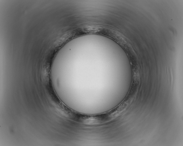 X0000108480460200904171614